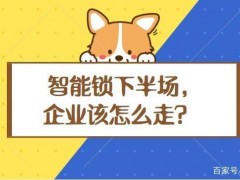 冷思考｜智能鎖行業(yè)的下半場該怎么走？